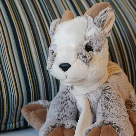 Le Bois D'Imbert - Memory Collection