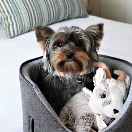 Le Bois D'Imbert - Memory Collection Hotel Rocamadour