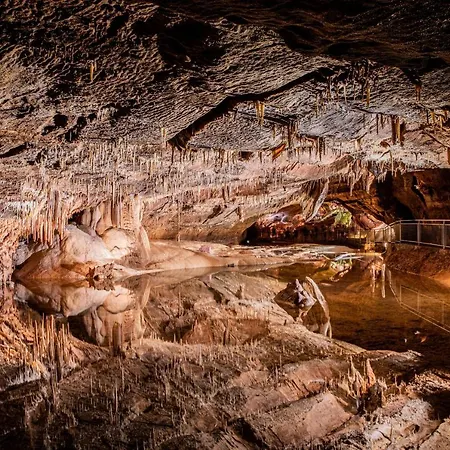 Le Bois D'imbert - Memory Collection Rocamadour