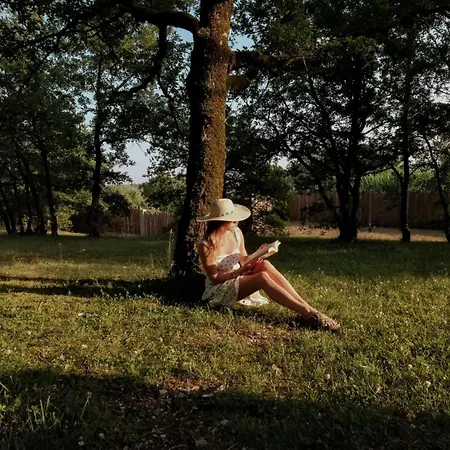 Le Bois D'imbert - Memory Collection