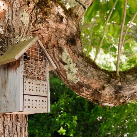 Le Bois D'Imbert - Memory Collection Hotel