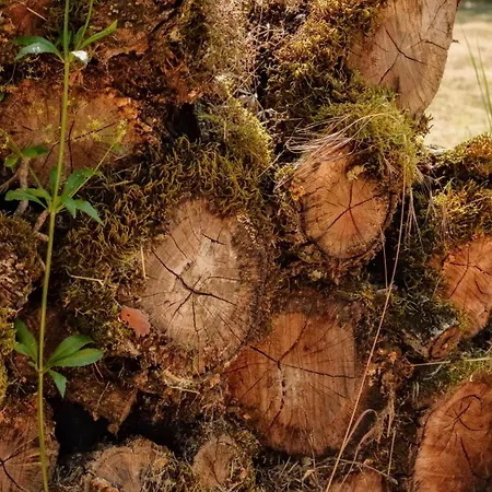 Le Bois D'imbert - Memory Collection 4*